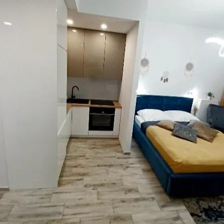 Hanza Tower Ajp Lux 아파트 *